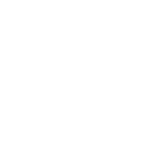 DeViNiAn's emblem