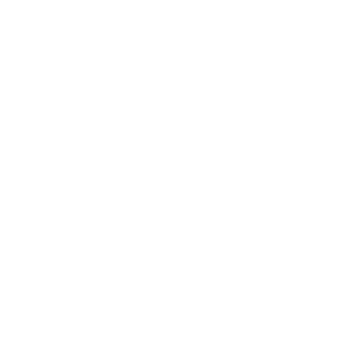 FlyingBeaver9533's emblem