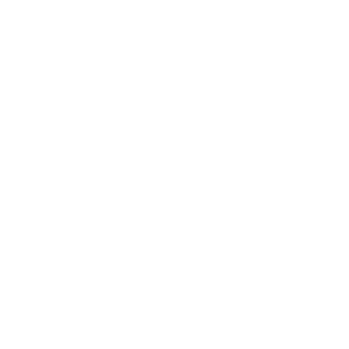 GlitchyLag's emblem