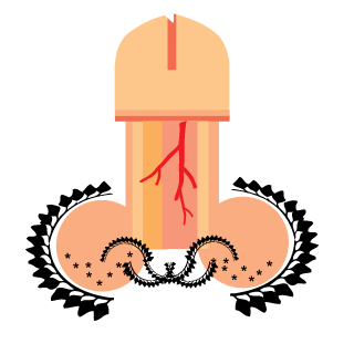 PHAHOLATP's emblem