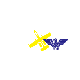 WaceMind00's emblem