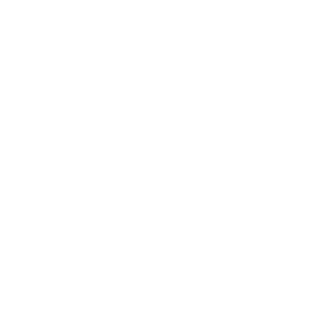 vixird's emblem