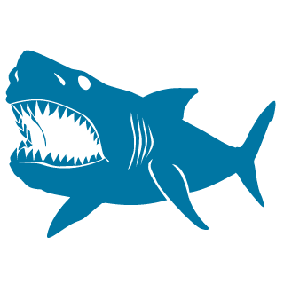 RhysDavv21's emblem