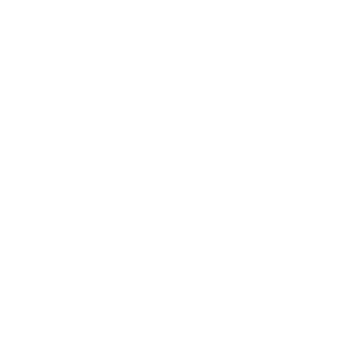 xxxNoctisx's emblem