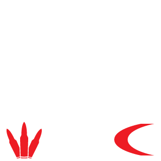 MrDeadFox4746's emblem