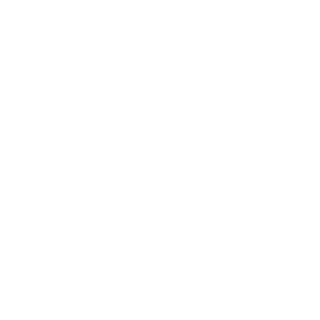 wellvic's emblem