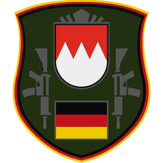 Flapple824's emblem