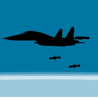 Fly498986455's emblem