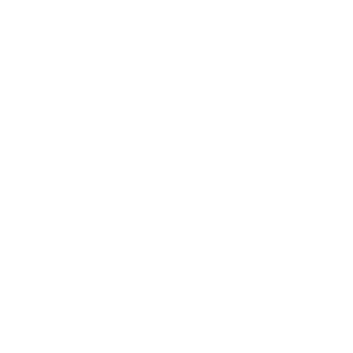 2004113's emblem