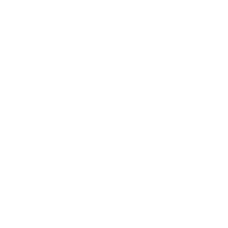 bg411's emblem