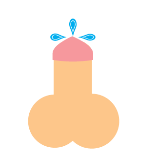 ToningToaster51's emblem