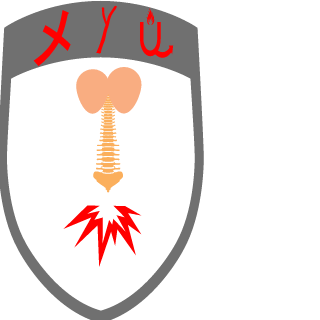 W-v-P_43RUS's emblem