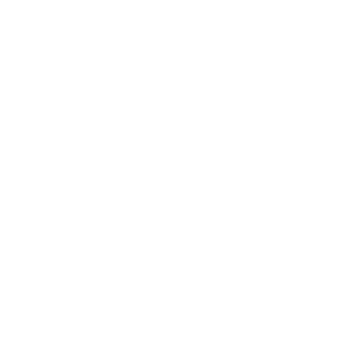 SB_0011's emblem