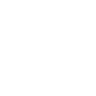 NekromPL's emblem