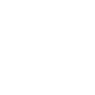 DICEfixREG2k13's emblem