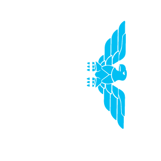 MehadiCR7's emblem