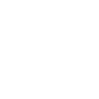 Shadybro42's emblem
