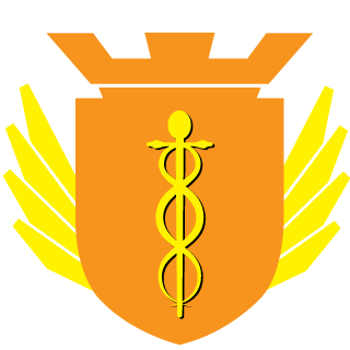 337fe7e5f68f8df1's emblem