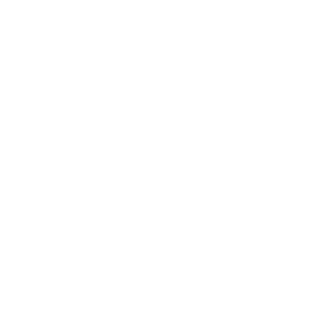 Mr_Rudy_Kang's emblem