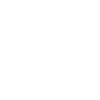 HudryTurtle's emblem