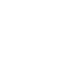 GunGunTheRog's emblem