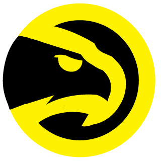 SB HAWK E-SPORT's emblem