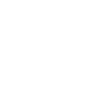 LEGIONNARE1's emblem