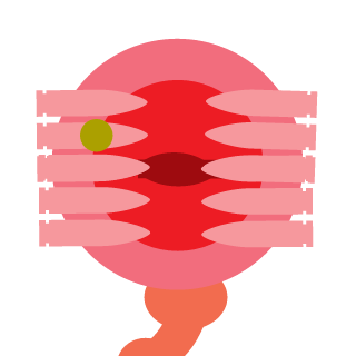 plehsistential's emblem