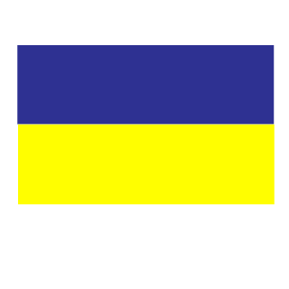 mytniy_mrak_229's emblem