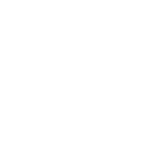 ManNikol's emblem