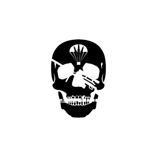 fighter0115's emblem