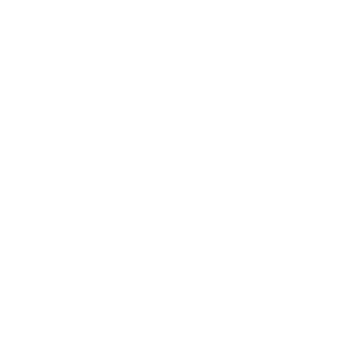 EdervalNN's emblem