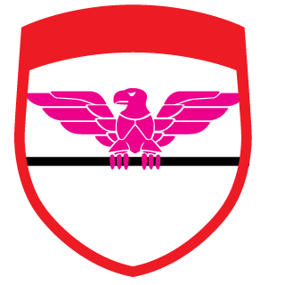 X-veilside20's emblem