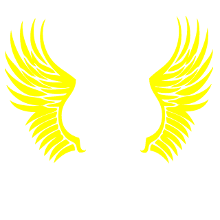 SniperNoSnipin21's emblem