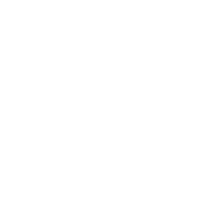 SFTSM1L3's emblem