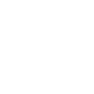 876Fearless's emblem