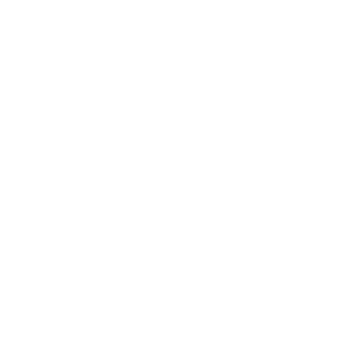 8747f2fec1b2de54's emblem