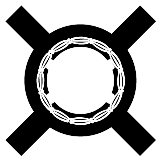 d1namixcs's emblem