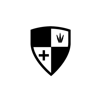 Shainz07's emblem