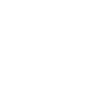 NoobBehindYou's emblem