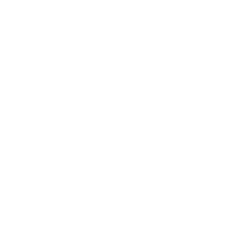 JES_9119's emblem