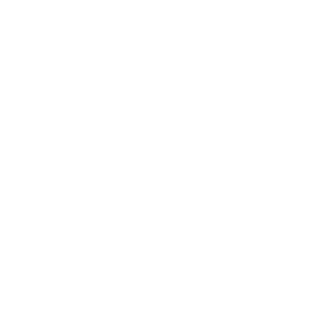 LICsk's emblem