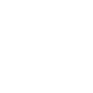 118811881's emblem