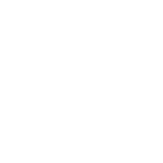 CVPERCVTZ3's emblem