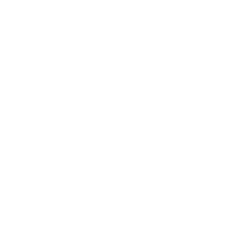 KAMAZVOVA's emblem