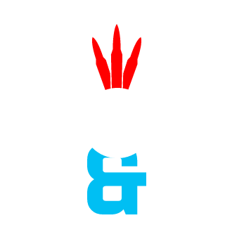 2observe's emblem