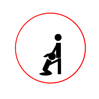 VTDFR's emblem