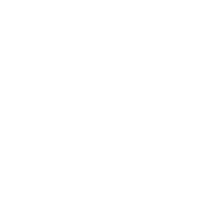 IDEVNA's emblem