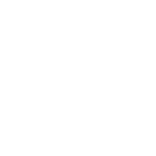 I DRAKON's emblem