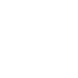 1_NoGameNoLife_1's emblem